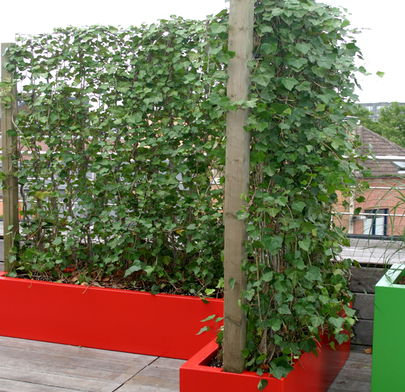 WALFiLii plantenbakken op maat voor hagen op je terras of openbare ruimte.