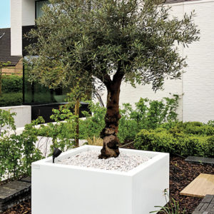 WALFiLii-producten-design-plantenbak-kopen-kleur-op-maat-tuin-terras-14